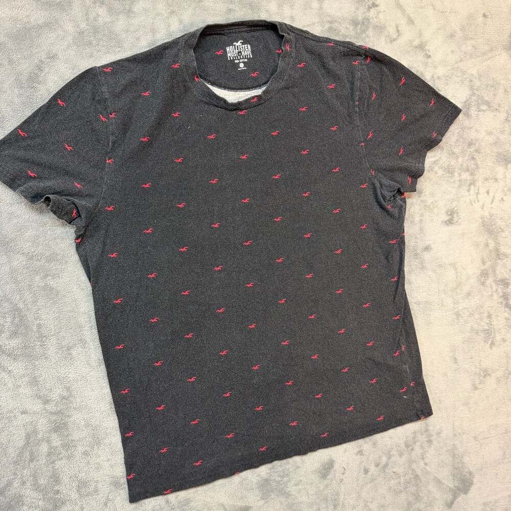 Hollister T-Shirt Size XL Gray Red Seagull Logo Must-Have Collection